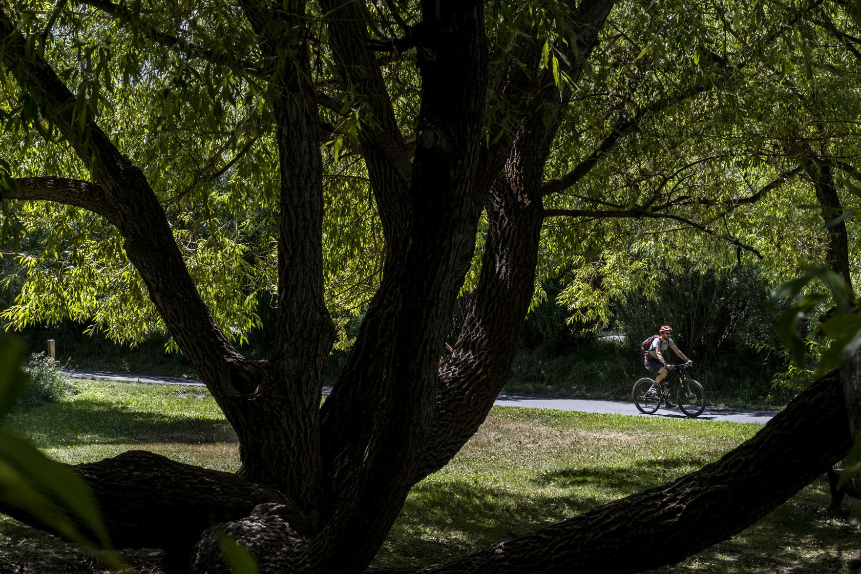 Summer Cycling